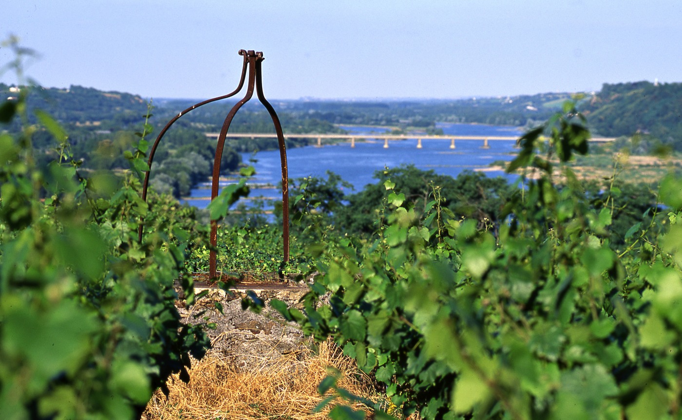 Vignoble de la vallée de la Loire